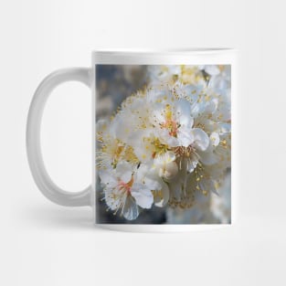 White Plum Blossom Mug